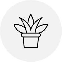 Grow icon